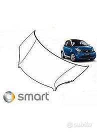 Smart 453 cofano