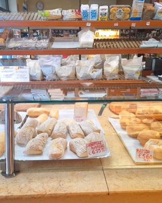 Panetteria avviata centro storico Parma, via Saffi