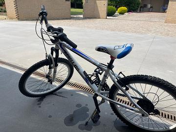 Bicicletta rebellato