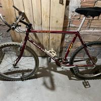 Mountain bike Bottecchia