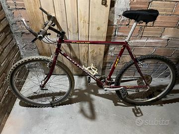 Mountain bike Bottecchia