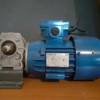 motore elettrico monofase cantoni con riduttore