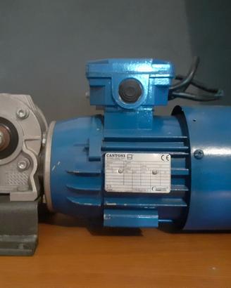 motore elettrico monofase cantoni con riduttore