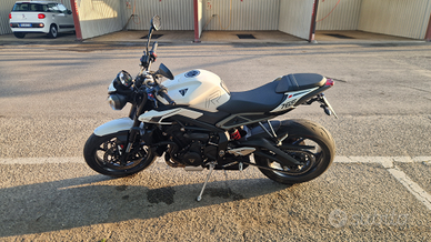 Triumph street triple 765 R 2024