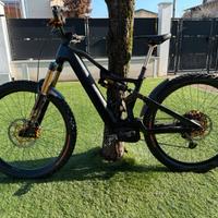 Whistle E Bike Mtb
