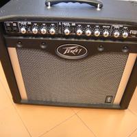Amplificatore Peavey  Envoy 110