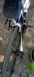 bici in carbonio 