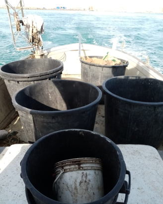 Barca da pesca
