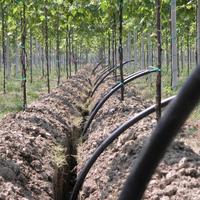 Nuovo impianto irrigazione vigneto