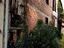 Immagine 5