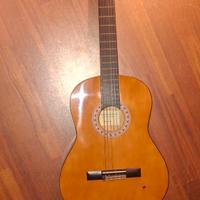 chitarra acustica Alvarez