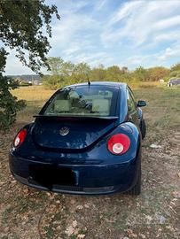 New Beetle 2008 con impianto GPL