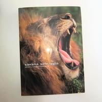 Libro fotografico Savana Selvaggia di Michel e Chr