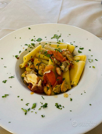 Aiuto cuoco.aiuto pizzaiolo