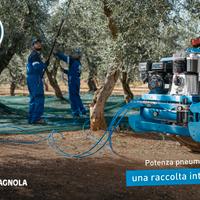 Motocompressore Portato CAMPAGNOLA MP 548