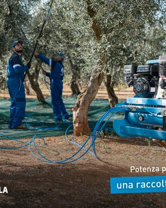 Motocompressore Portato CAMPAGNOLA MP 548