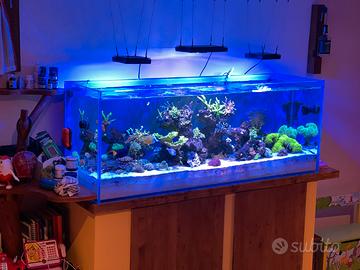 Vasca acquario 510 Litri