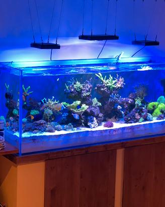 Vasca acquario 510 Litri