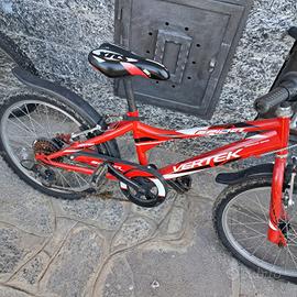 bicicletta