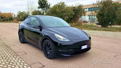 Tesla Model Y Performance