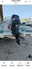 Mercury Optimax optimax 150 efi