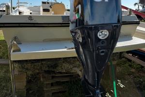 mercury pro 40 cavalli