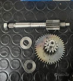 ingranaggi rapporti primari 13 44 malossi