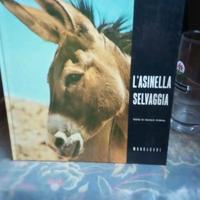libro L'asinella Selvaggia Walt Disney ed Mondador