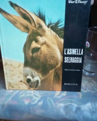 libro L'asinella Selvaggia Walt Disney ed Mondador