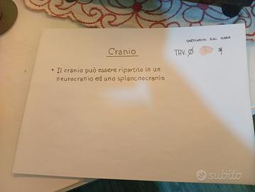 Disegni manuali anatomia umana