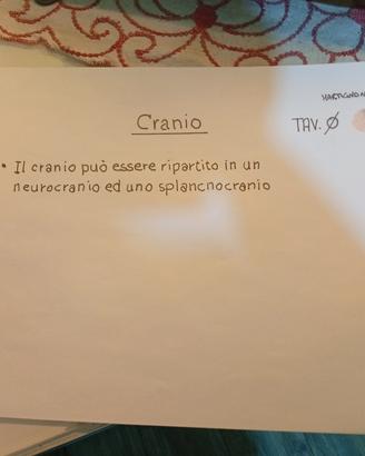 Disegni manuali anatomia umana