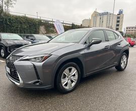 Lexus UX Hybrid Business