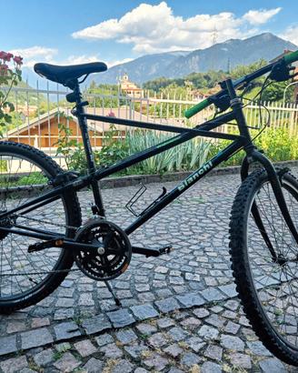 MTB Bianchi thomisius