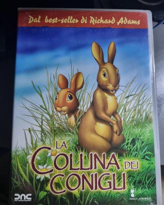 “La Collina dei Conigli”