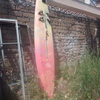 Tavola da windsurf