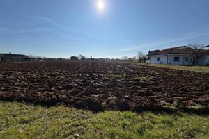 Terreno di 4650 m² a Basiliano
