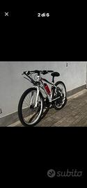 Bici 29 torpado