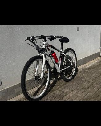 Bici 29 torpado