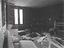 Immagine 14