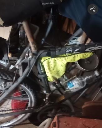 biciclette 
