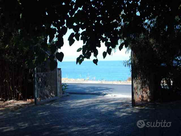 Palinuro last minute appartamento sul mare