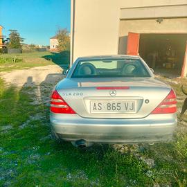 splendida cabrio 