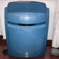 Climatizzatore Pinguino De Longhi