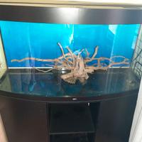 Acquario 260 litri Juwel Vision