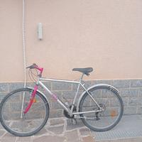 bicicletta da uomo marca Bianchi