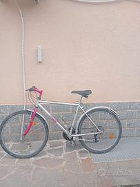 bicicletta da uomo marca Bianchi