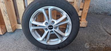 cerchi focus R16 a 5 fori 