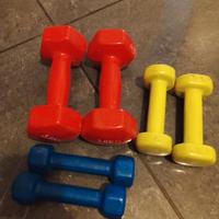 Pesi palestra