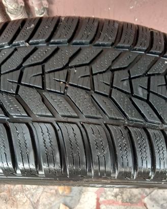 Gomme invernali 