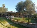casa-montoro-